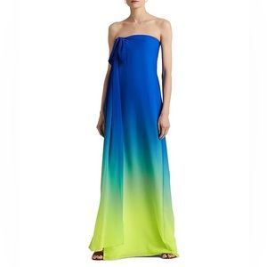 Beautiful ombré wedding guest dress!